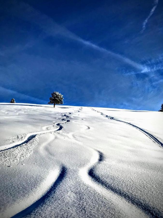 Zur Bruecke Apartments And Rooms - Your Home In Heart Of South Tyrol, With Brixencard Fortezza Esterno foto